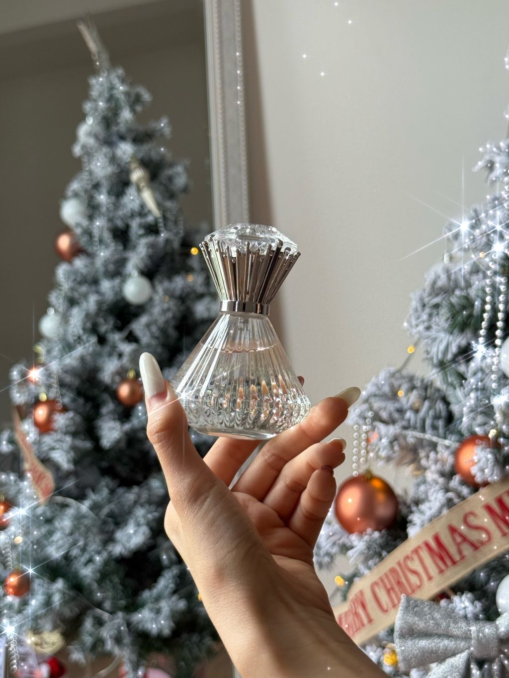 IMG_5622-1733982448081