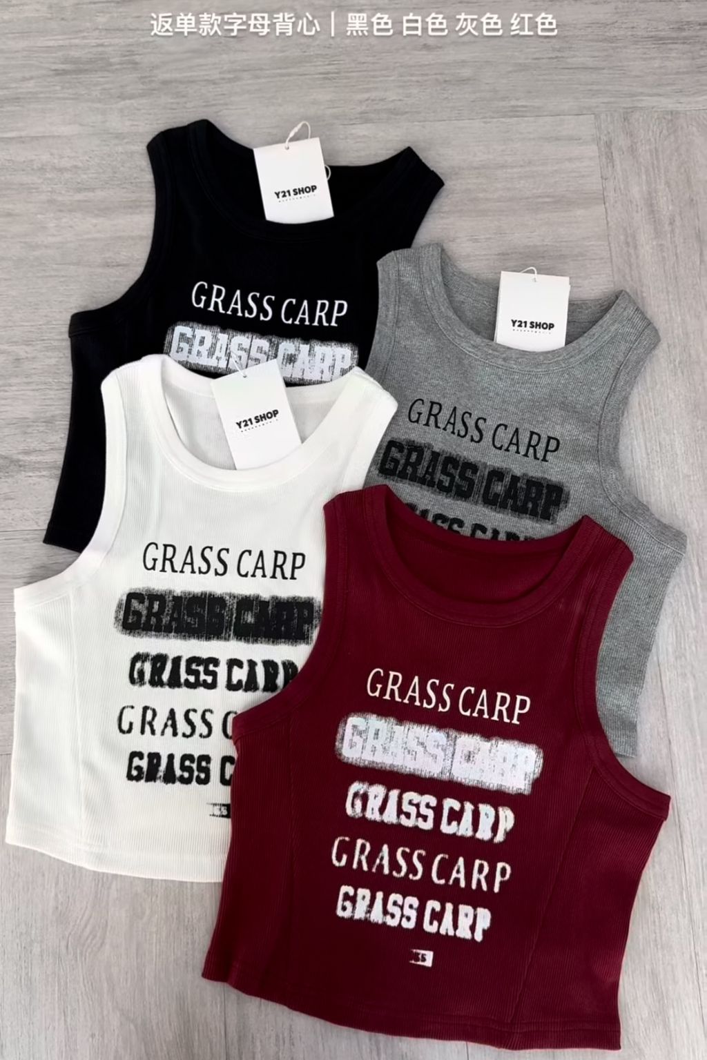 IMG_5225-1734408948629