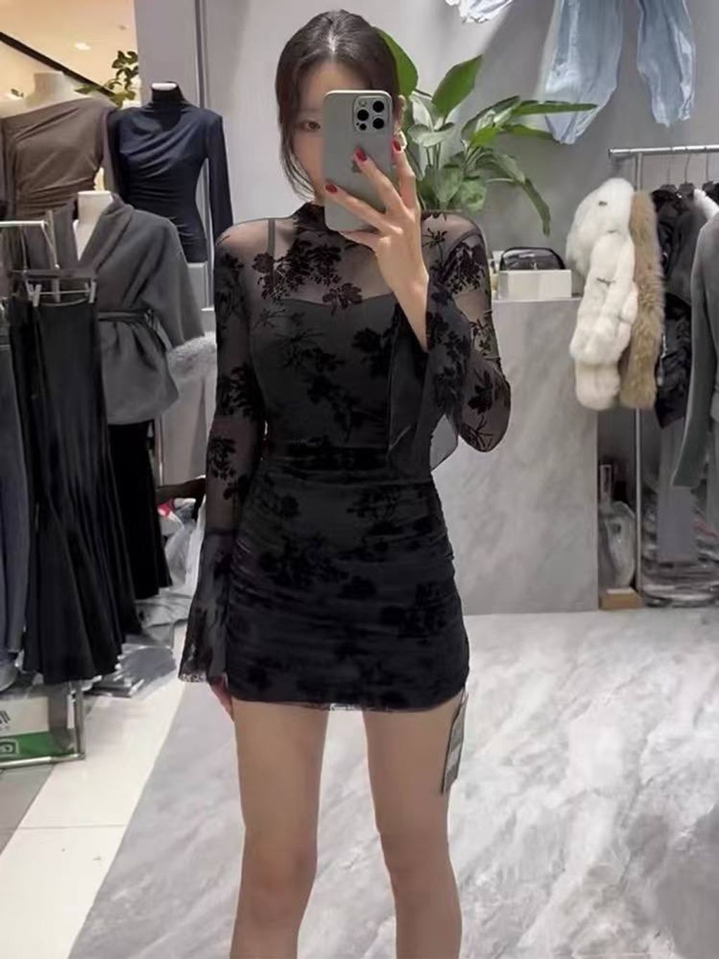 IMG_6318-1734513441412