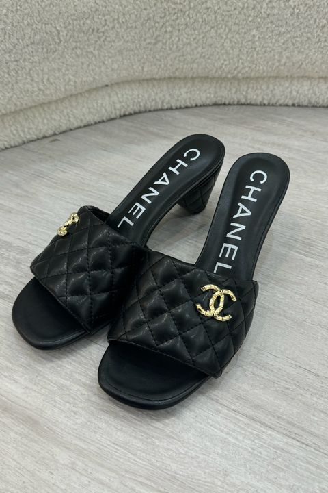 IMG_6236-1735455326528