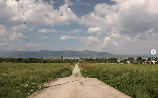 尋訪布草履 雲南之旅 | 草履散仙