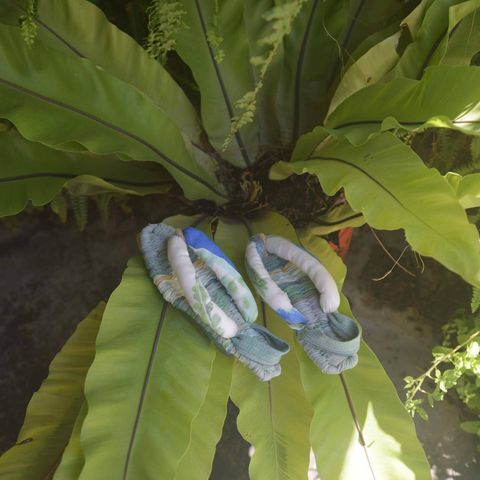 375596628_271130329105369_8074512273639810201_n