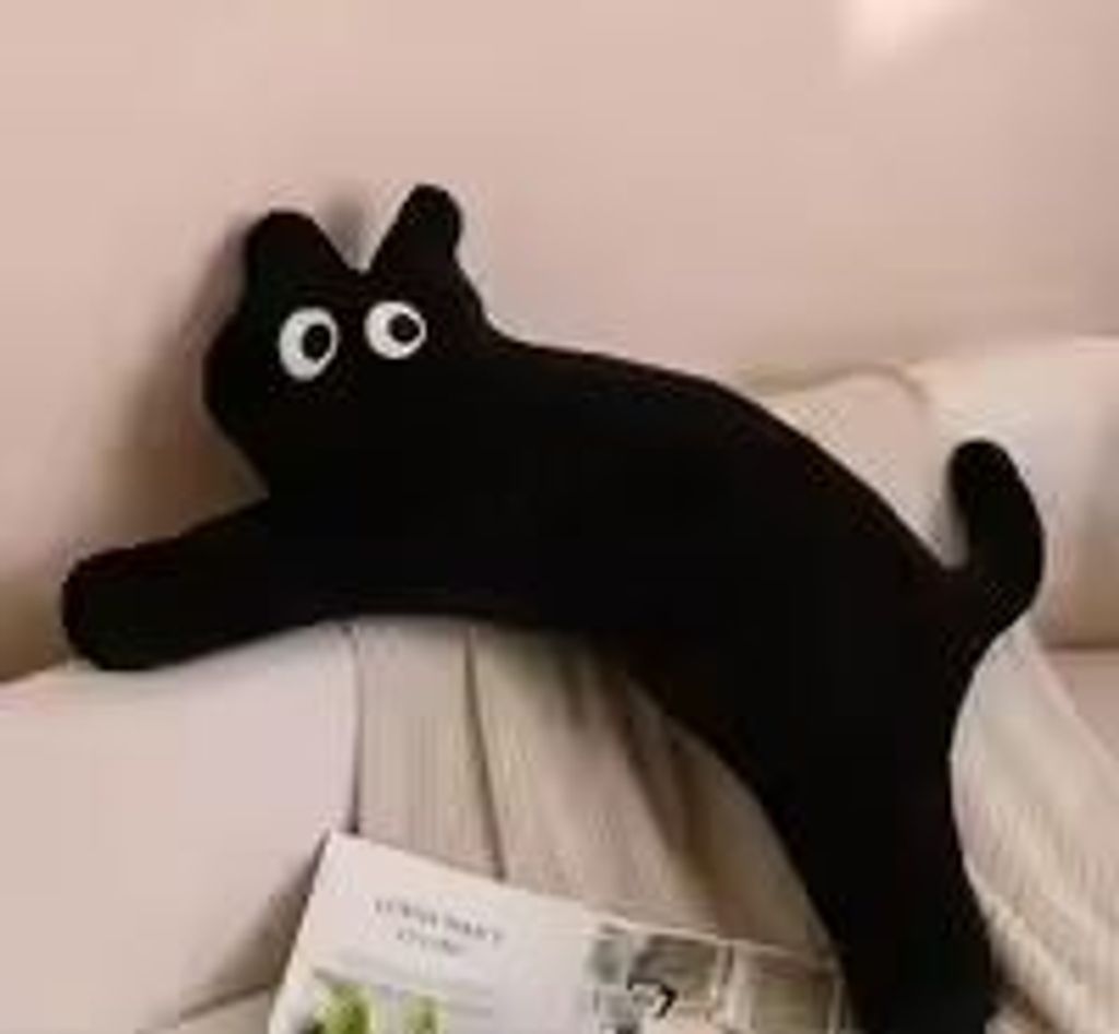 WhatsApp Image 2025-02-08 at 2.01.45 PM