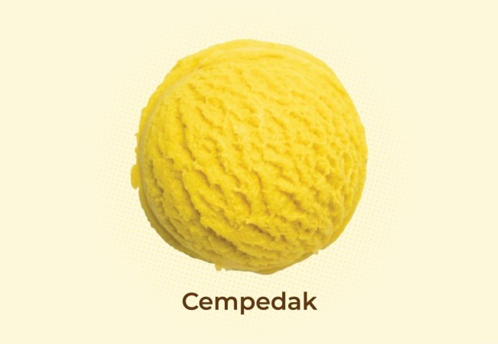 WhatsApp Image 2025-12-29 at 2.55.52 PM