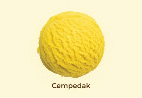 WhatsApp Image 2025-12-29 at 2.55.52 PM