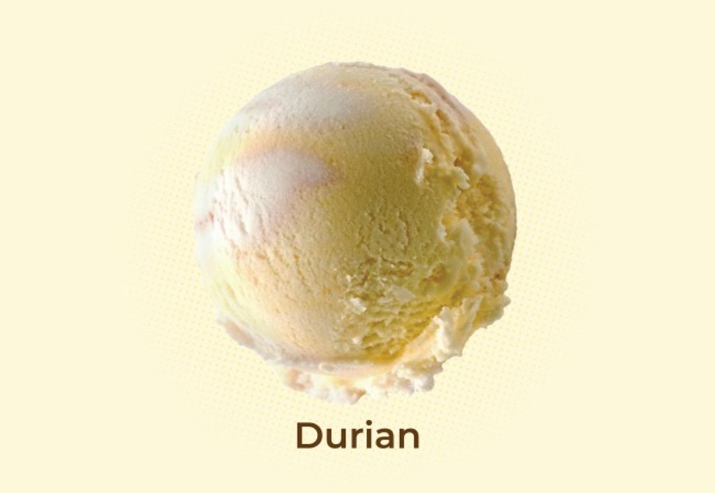 WhatsApp Image 2025-12-29 at 2.55.55 PM