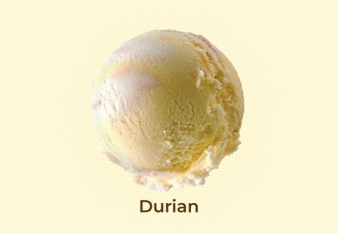 WhatsApp Image 2025-12-29 at 2.55.55 PM