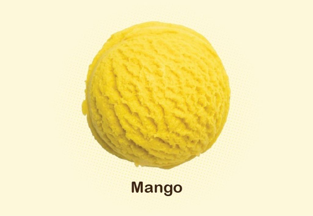 WhatsApp Image 2025-12-29 at 2.56.15 PM