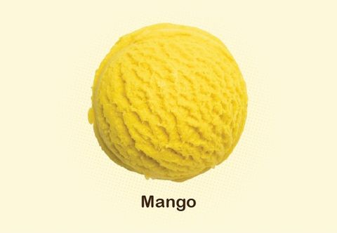 WhatsApp Image 2025-12-29 at 2.56.15 PM