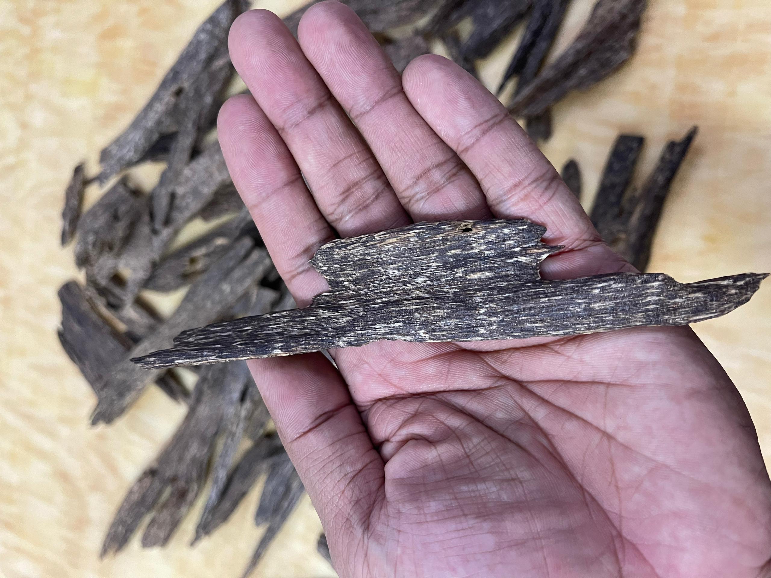 MAFA OUD | Sign Up for 5% OFF