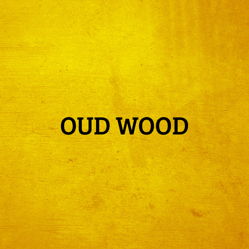 MAFA OUD | Main Collection - 