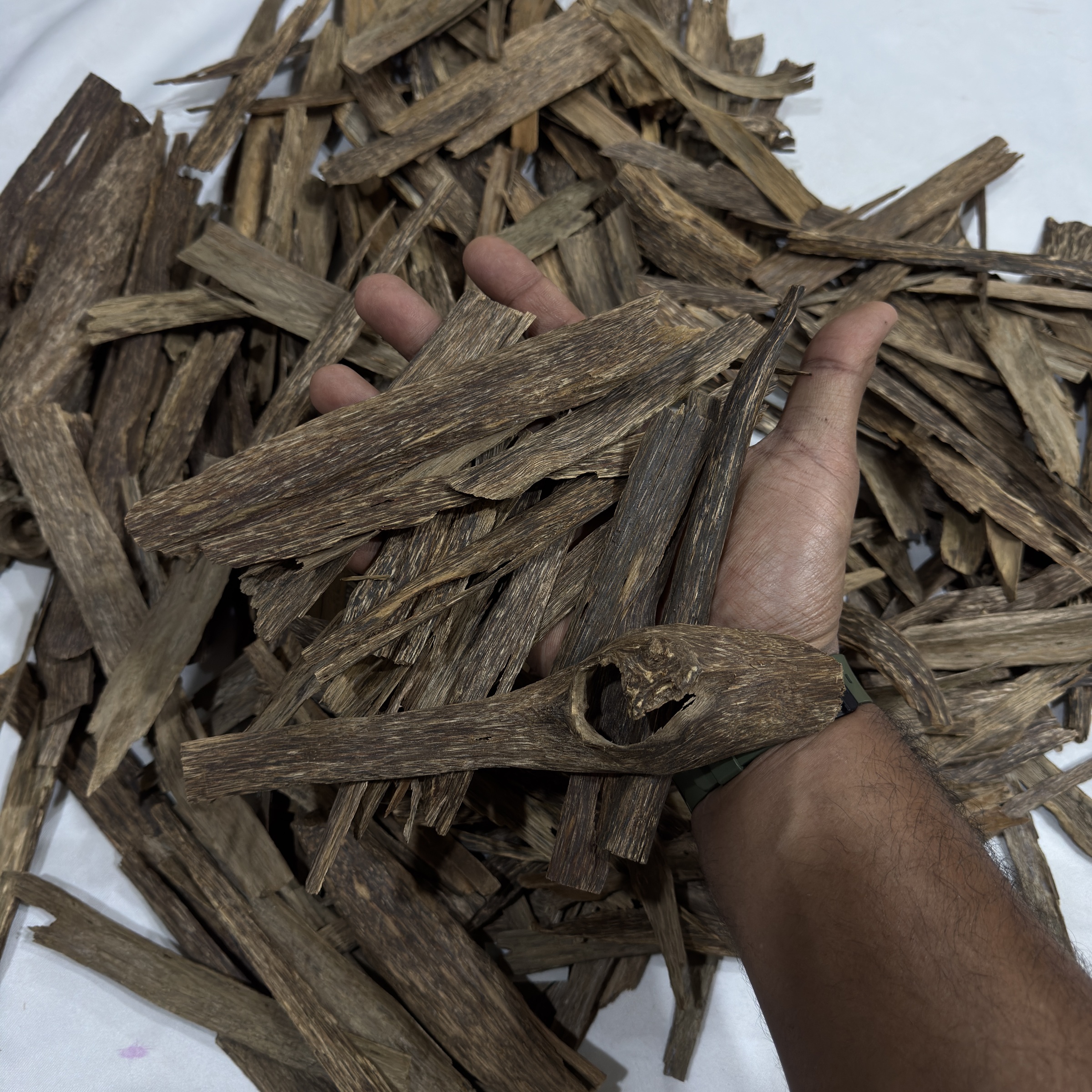 image_E83F419E-D7FB-4BEB-BEA9-6CF25F8C752D_1772702563