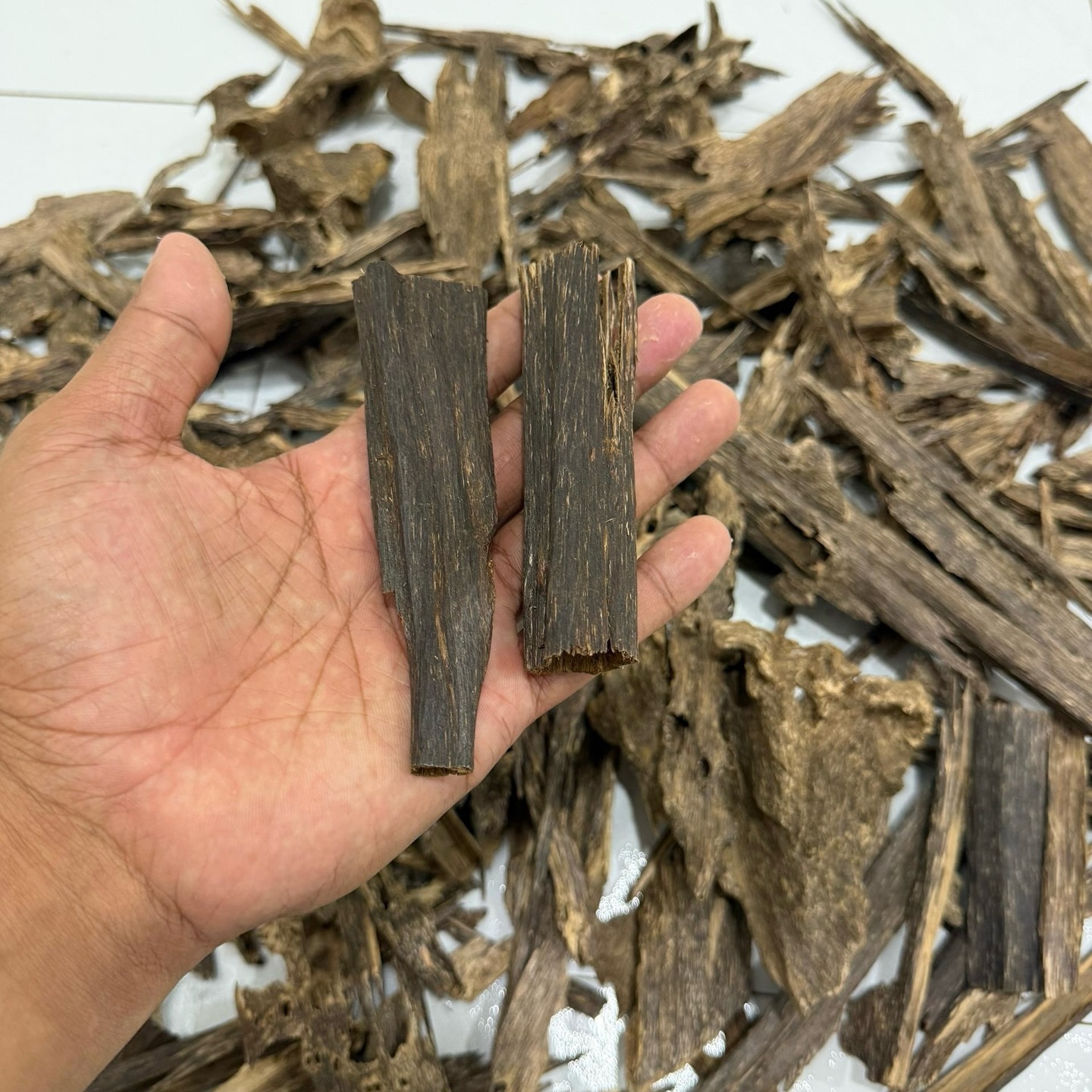 641422789_18283941655304605_7312630992883095247_n