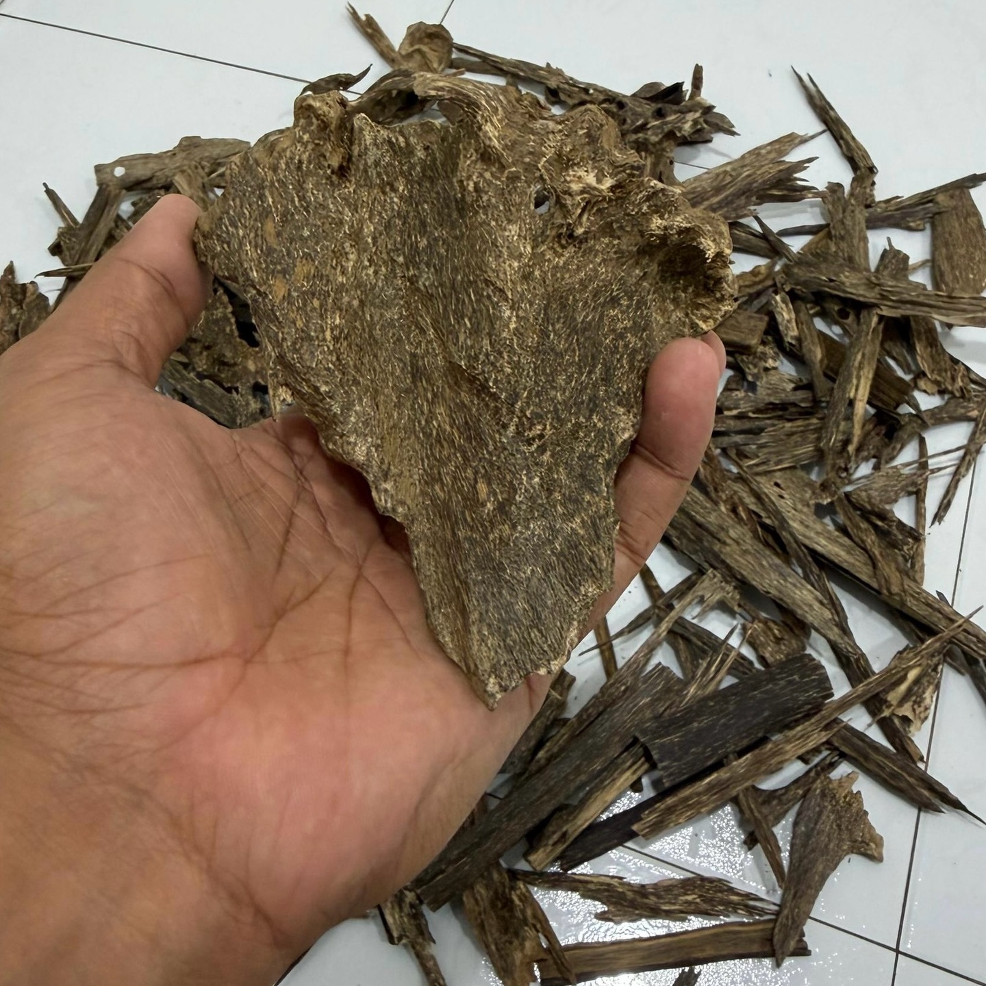 642533650_18283941676304605_8331631568548824684_n