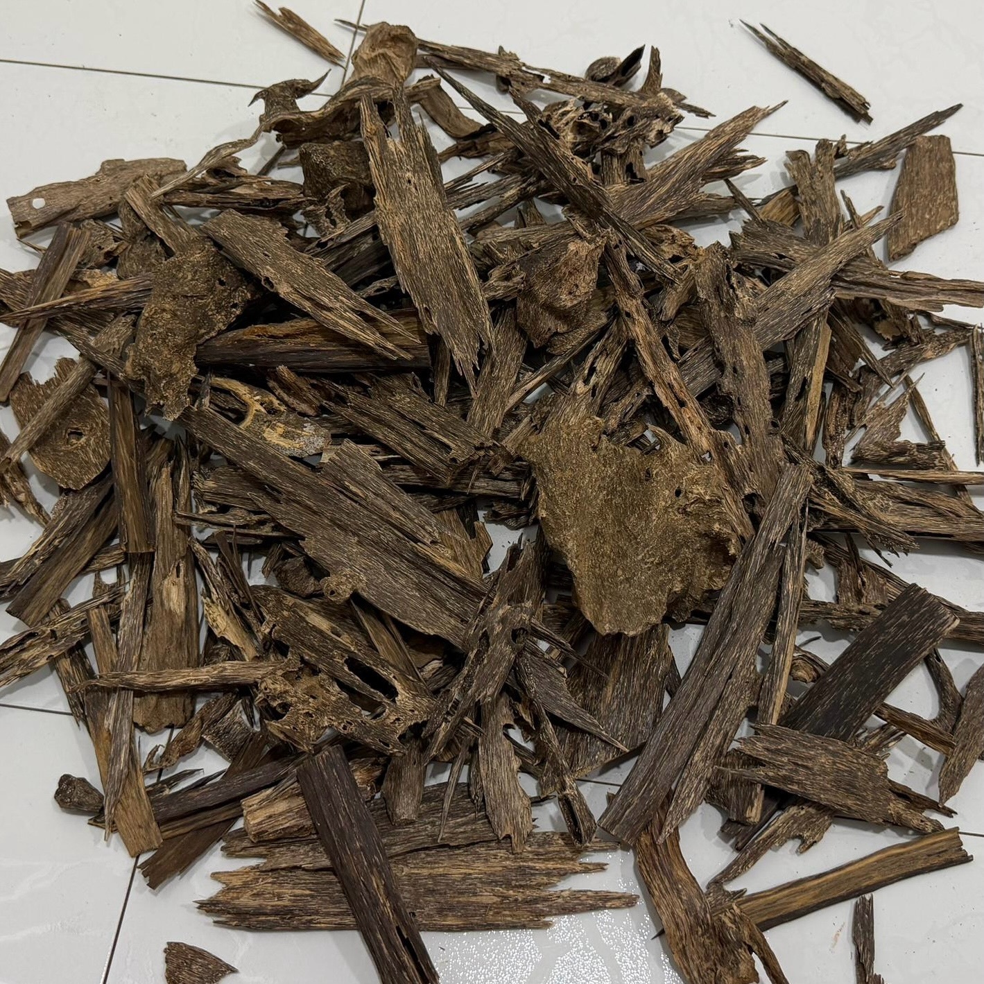 642150791_18283941700304605_8370556127634496360_n