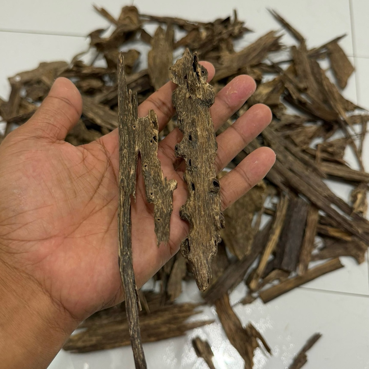 642527649_18283941667304605_1425016403423825697_n