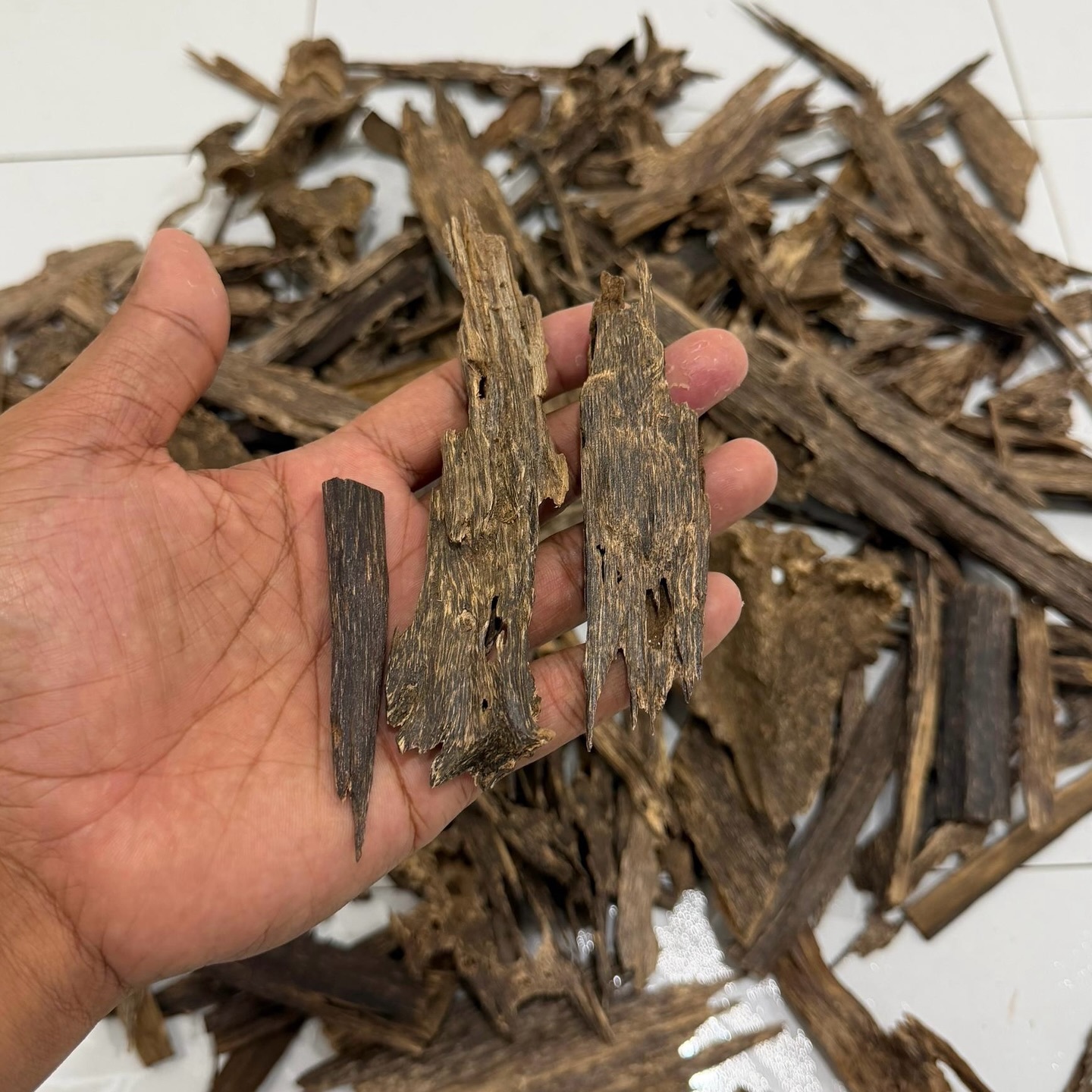 641769042_18283941691304605_8862670833253998142_n