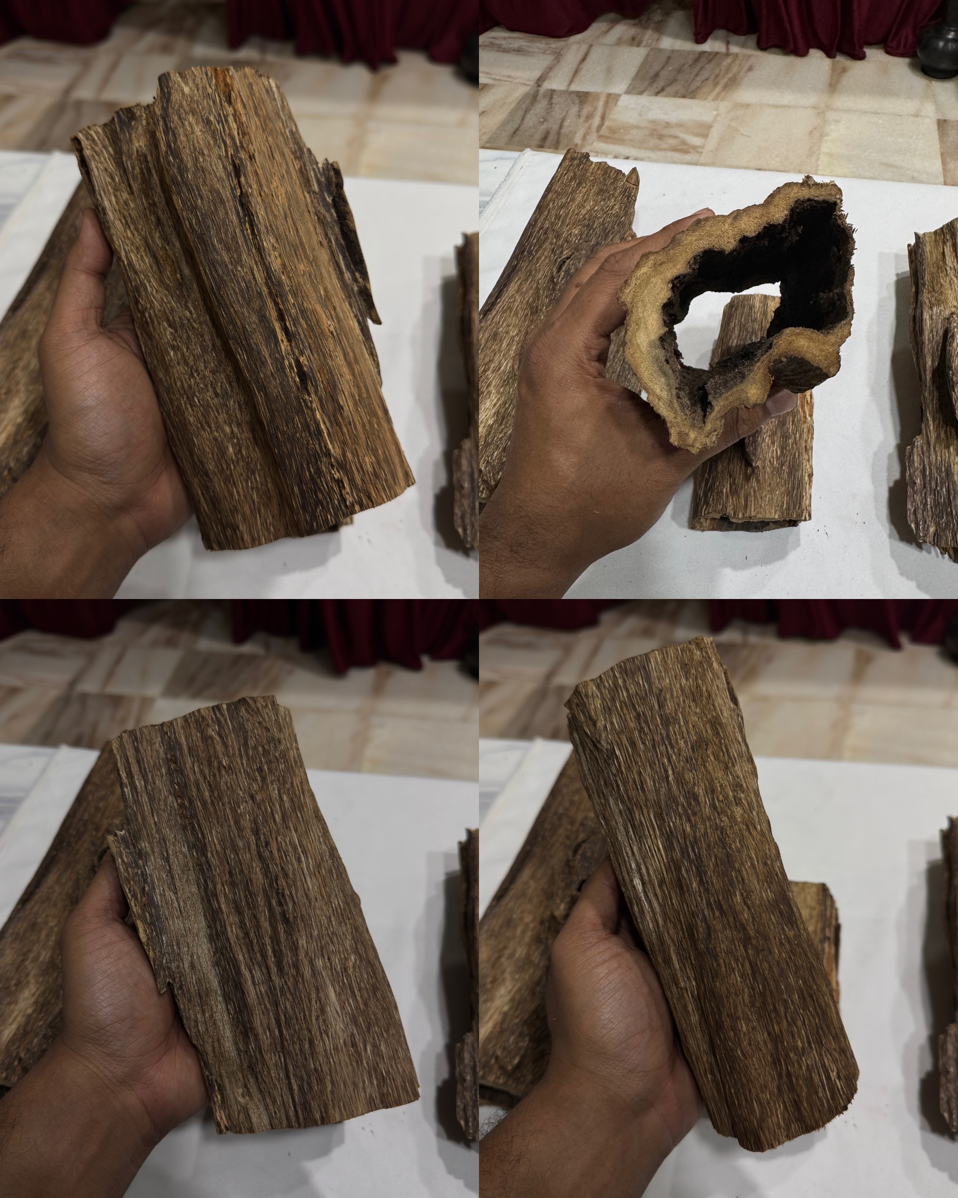 image_52759152-14D0-4D2C-939F-ADDBDB79AEDC_1772737786