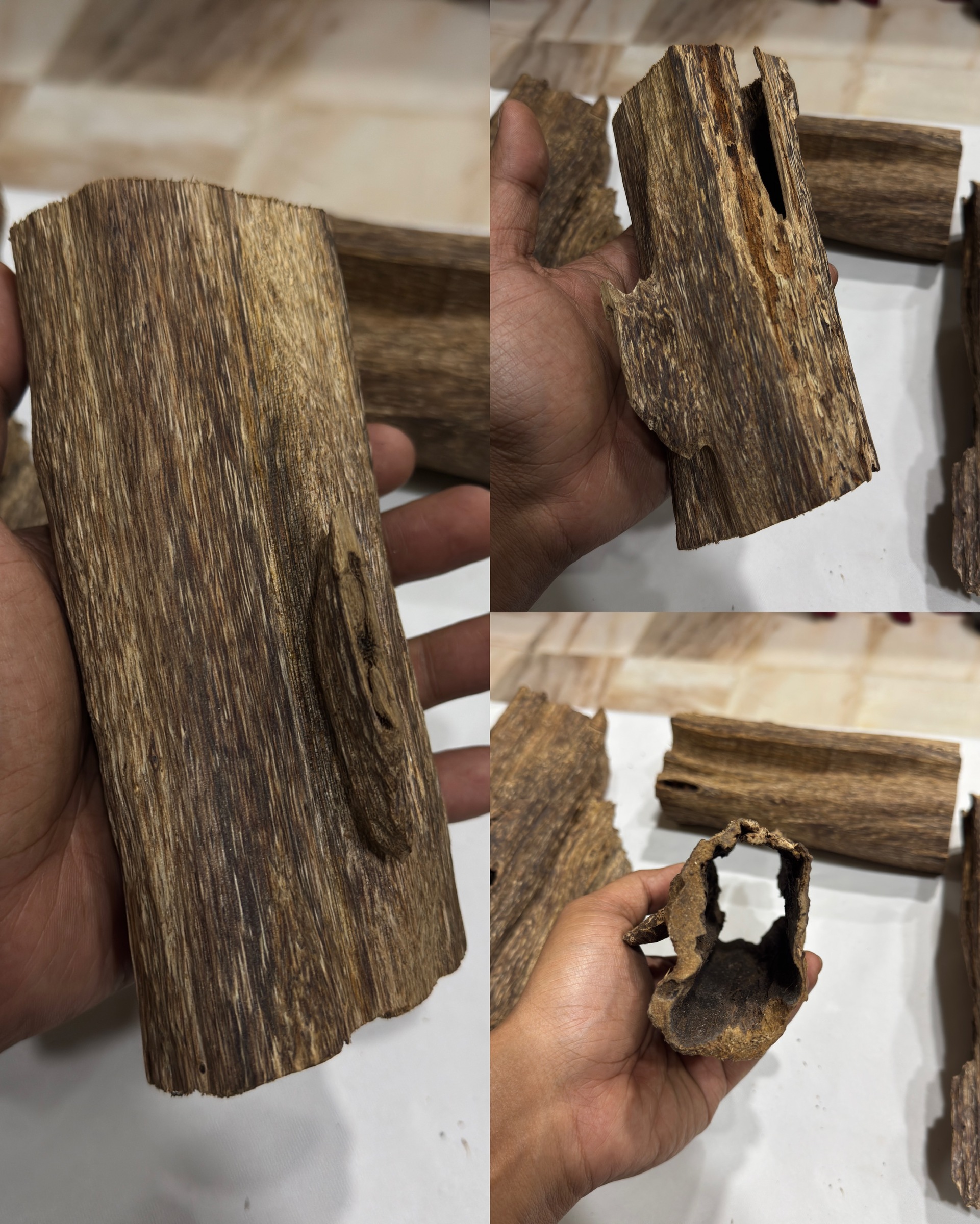 image_00CEDEDE-7EDF-4809-BB0A-6AE76E03E720_1772737786