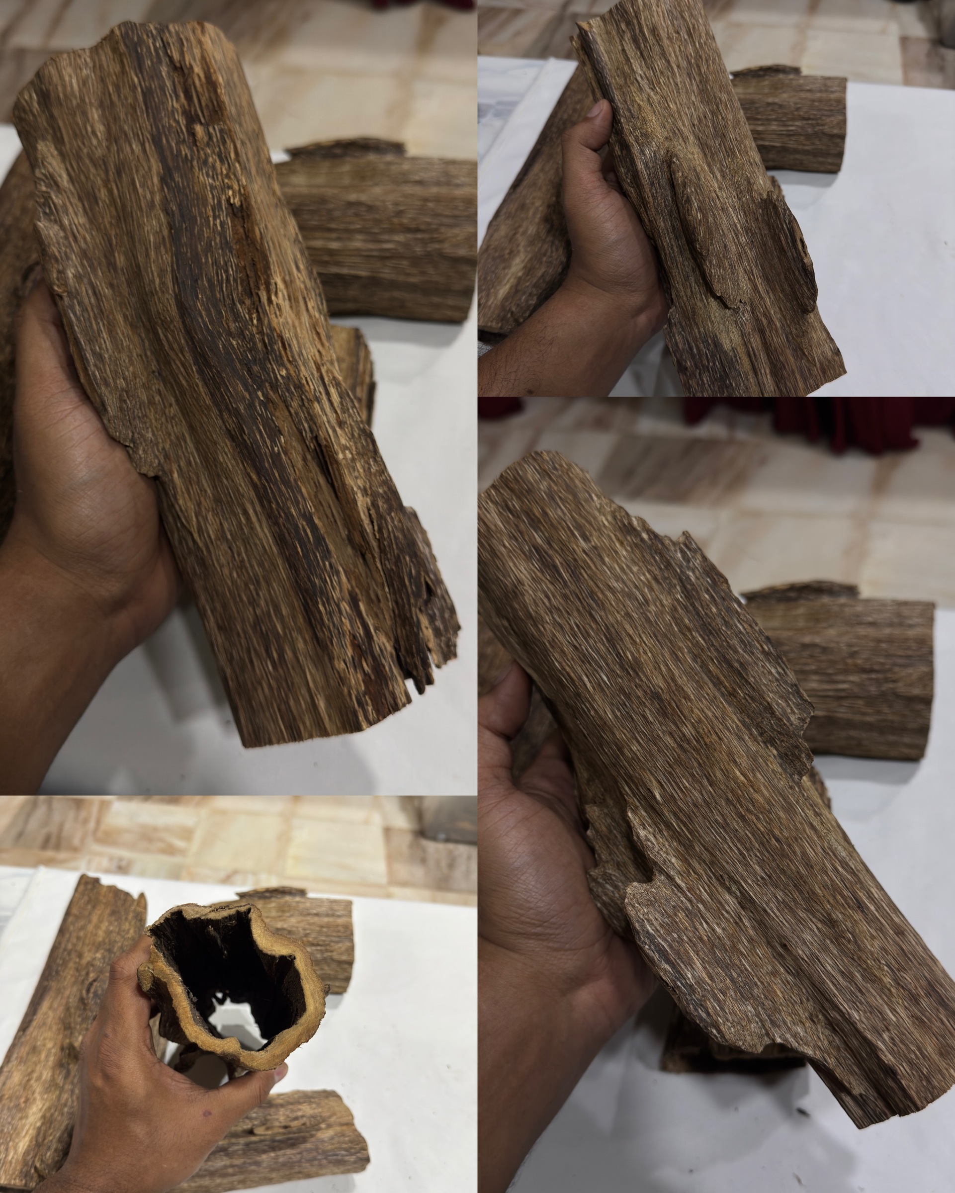 image_81DE6319-F28B-4384-9F0F-474724E7B242_1772737786