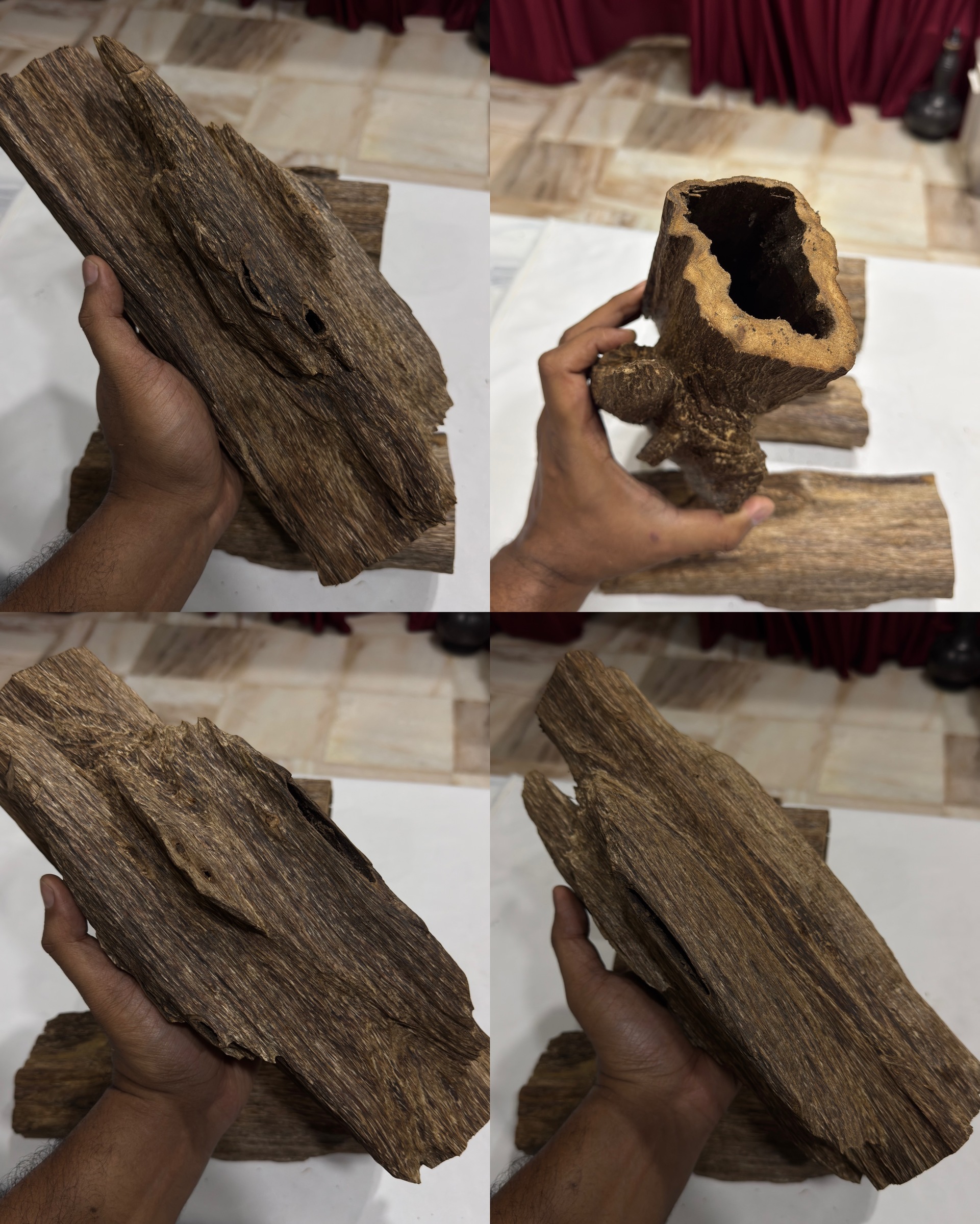 image_0FB9EEB3-BCD8-4CF4-AEB8-E53C3D4E5235_1772737786