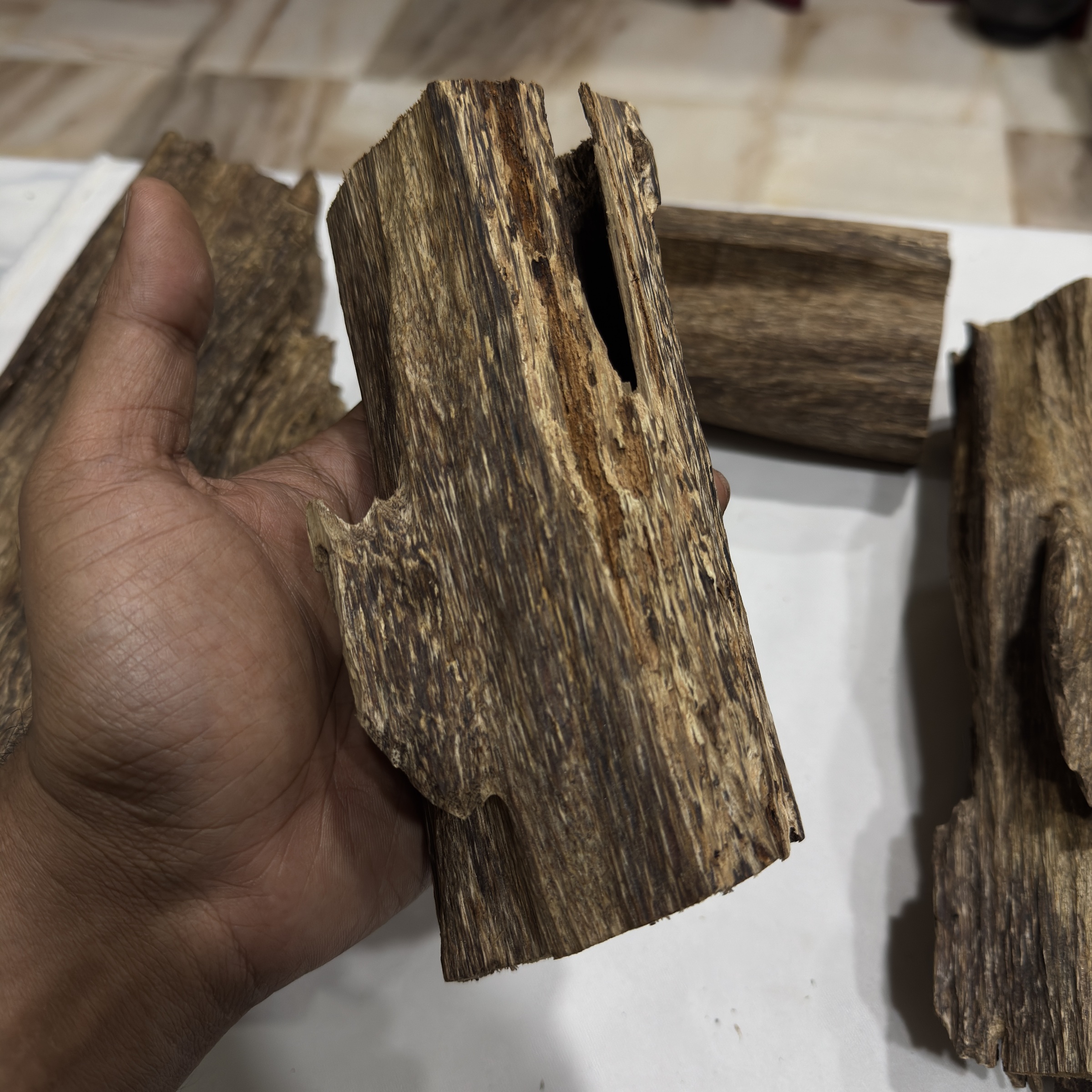 image_EDF72F1A-199F-4523-9CF4-58277CA10082_1772737835