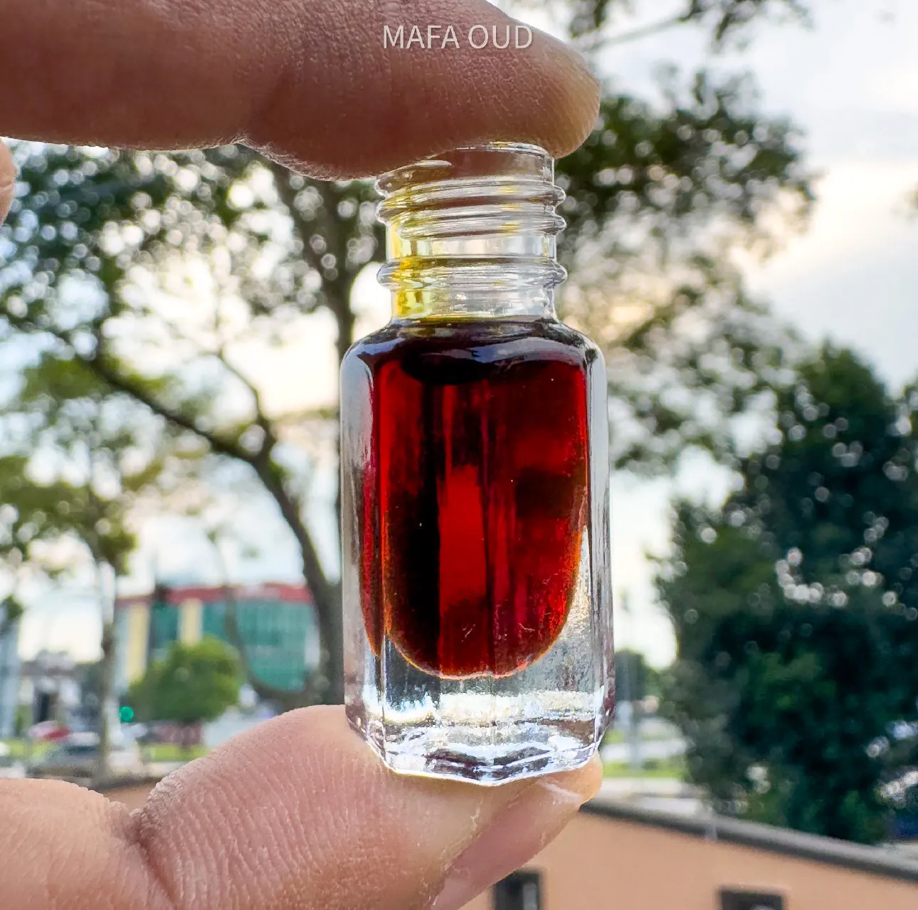 image_D3AEB62F-B928-4430-AA82-77B8D05F79C2_1772801602