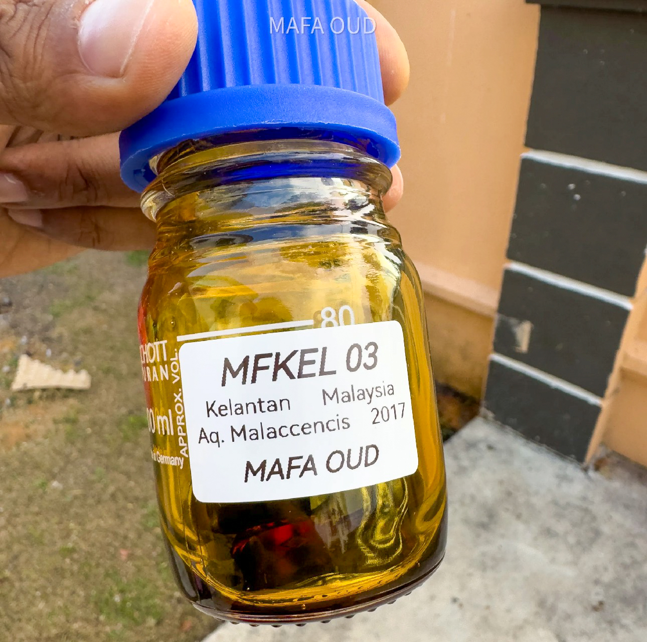 image_5500CEDD-2B3C-4ACC-A9D0-EB80AC1A0D92_1772801602