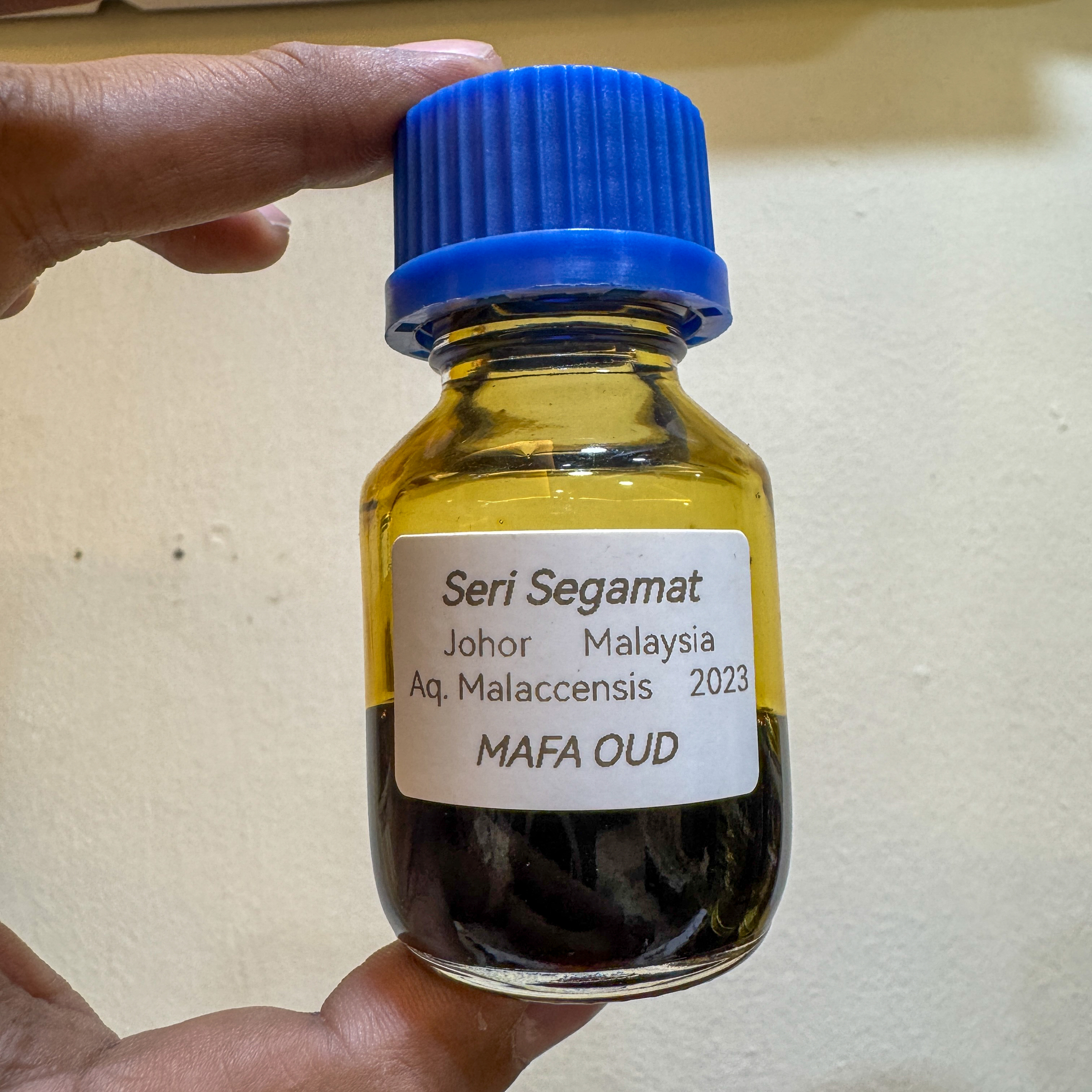 image_DB3784C2-7365-4718-8F13-93D159E2D83D_1772805486