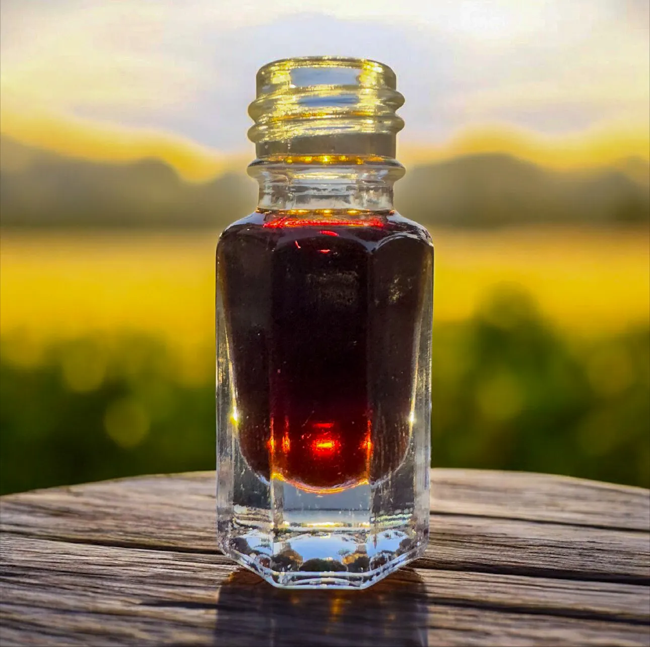 image_70B81786-E90B-489E-A294-2A497B3A6CE5_1772805526