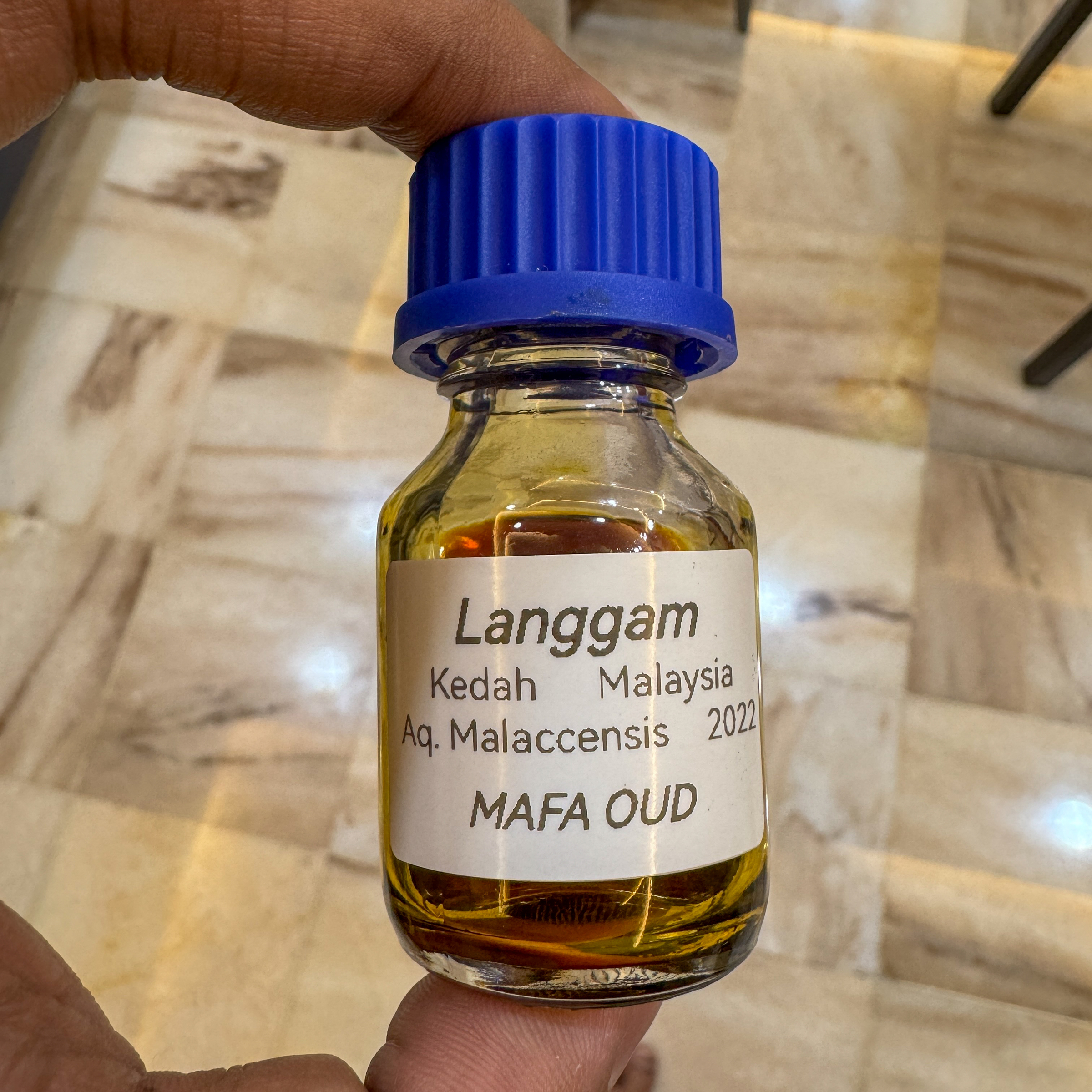 image_21F5689E-7974-4C83-A8C5-3B7AB6473C6E_1772894071