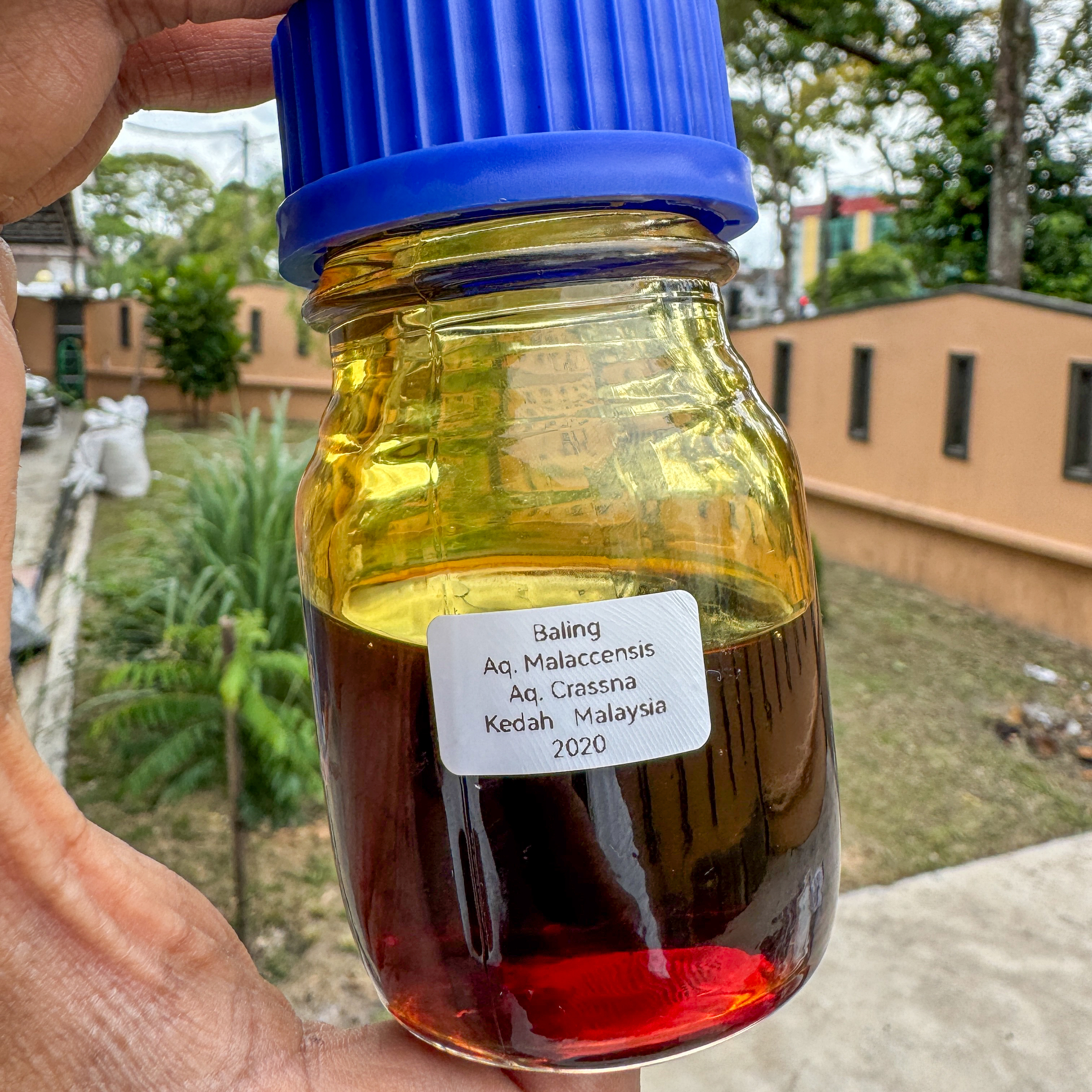 image_5E952AEF-0036-480A-9FD2-1E12E841885B_1772955923