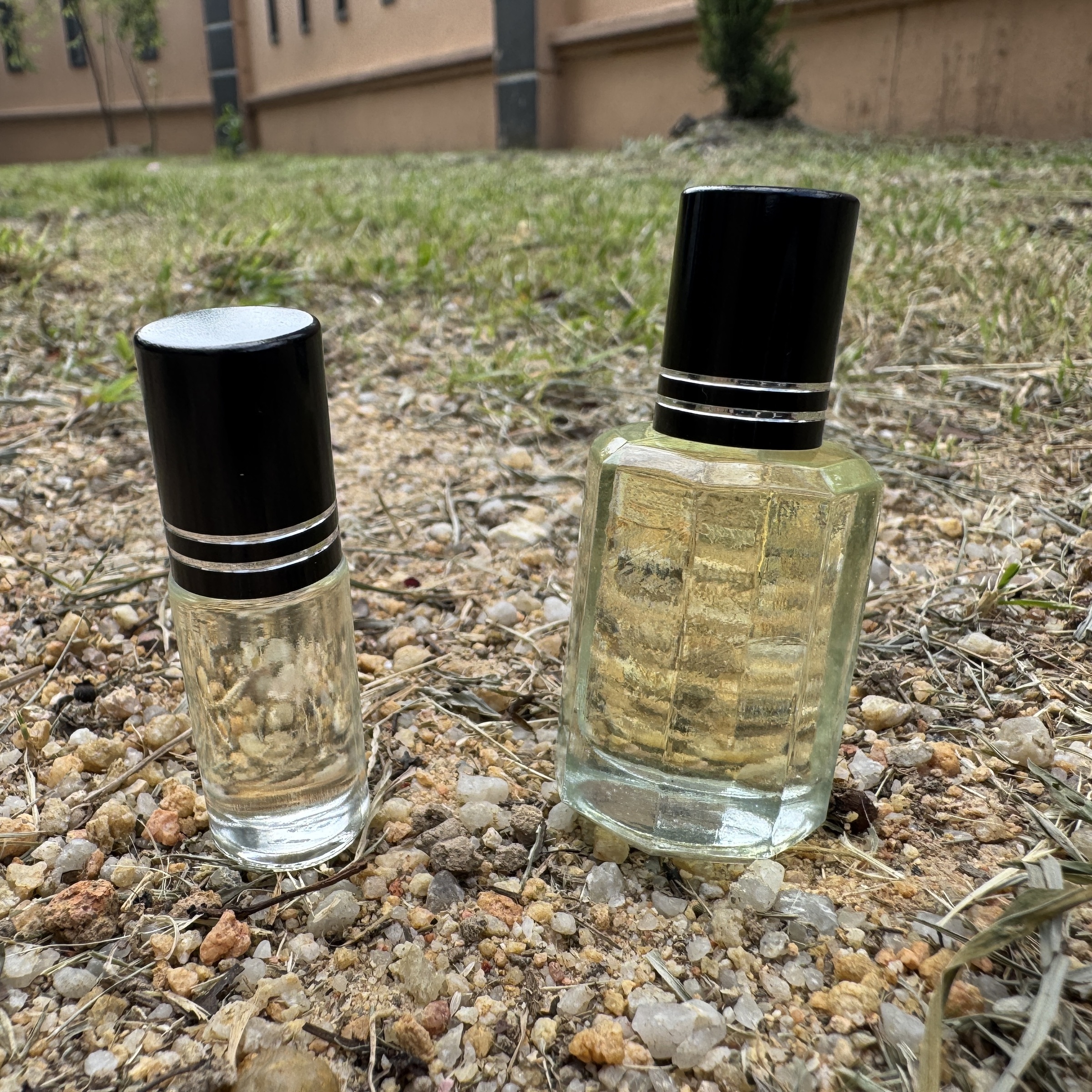 image_992B367C-4423-48F1-B71F-5C63465358C5_1773066219