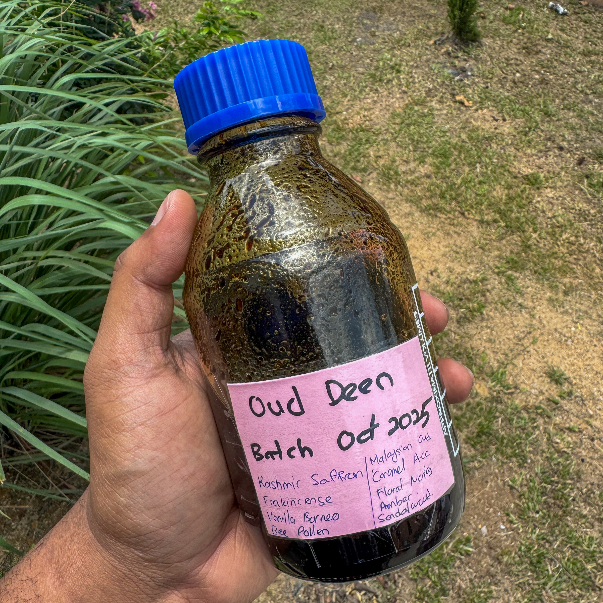 image_9DAA79CB-C609-41BC-A51F-A40ABE6CF5F8_1773122005