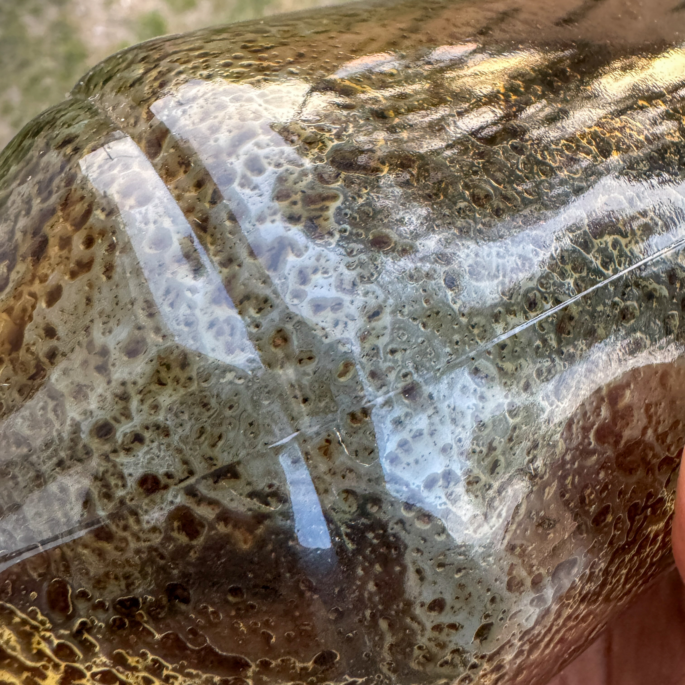 image_31D431BC-B822-4A2C-BE77-F61E65A3D8A2_1773148241