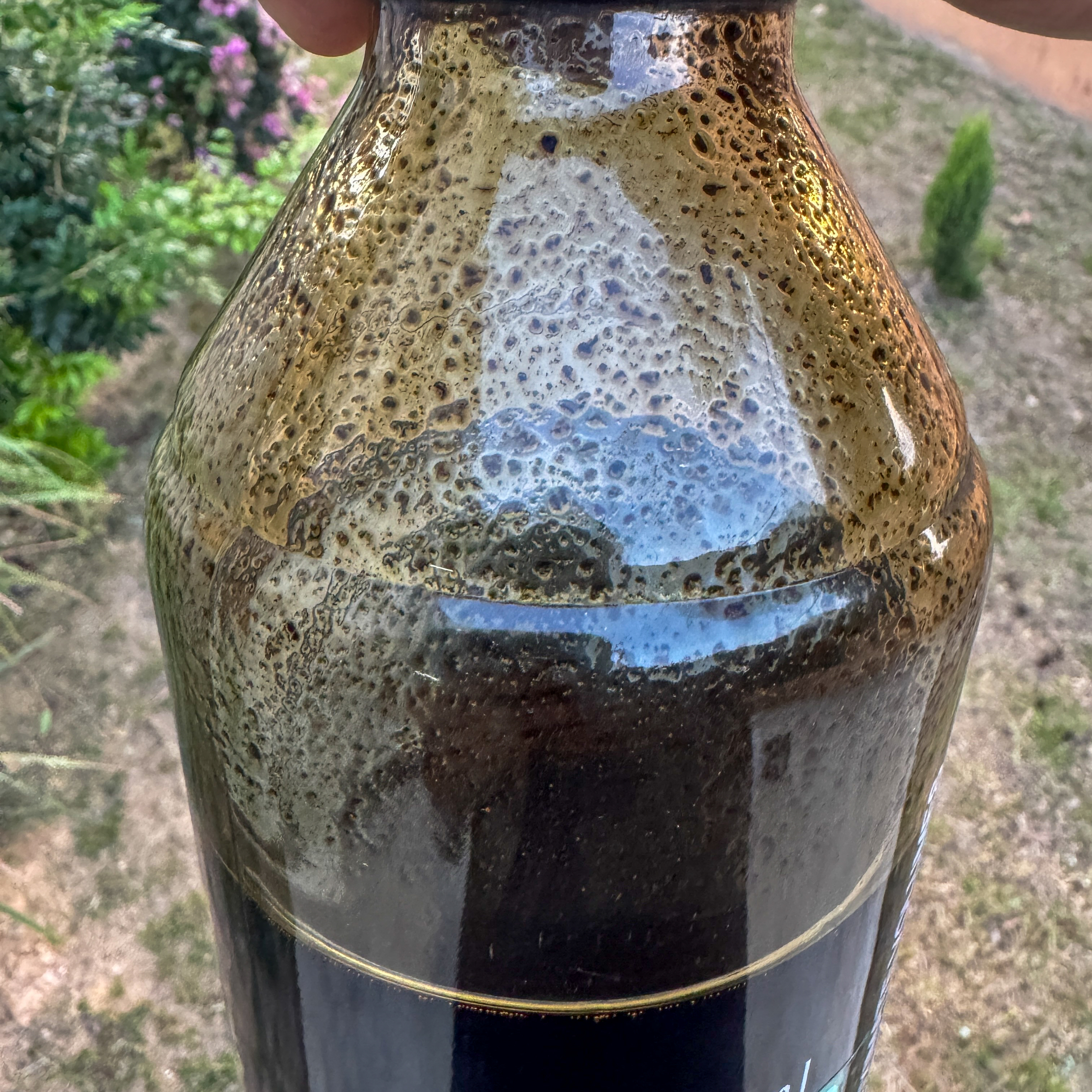 image_7932C4AD-78F4-4053-829E-33B5358B5418_1773148241