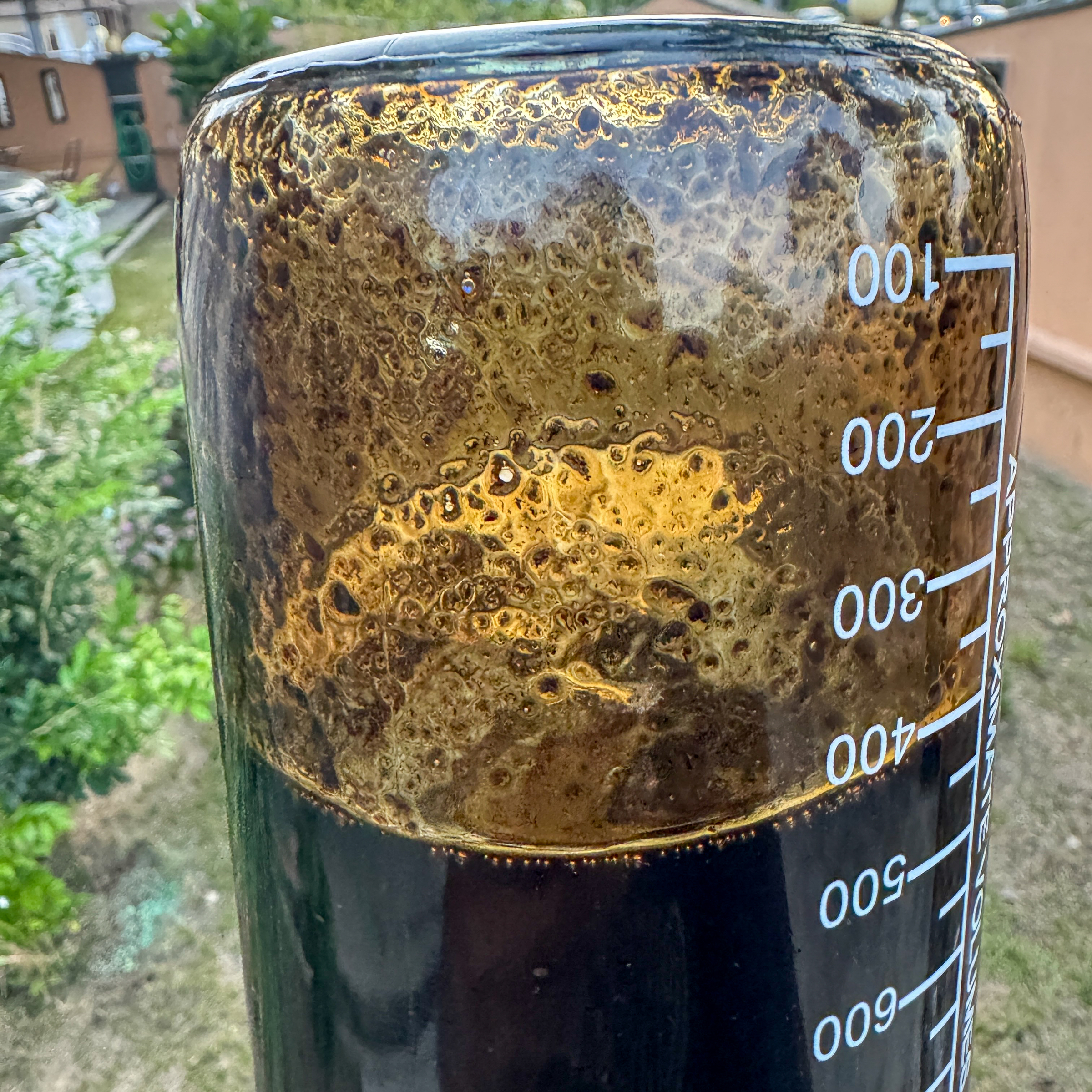 image_793460CE-1408-4C62-999E-725CF621E476_1773148241