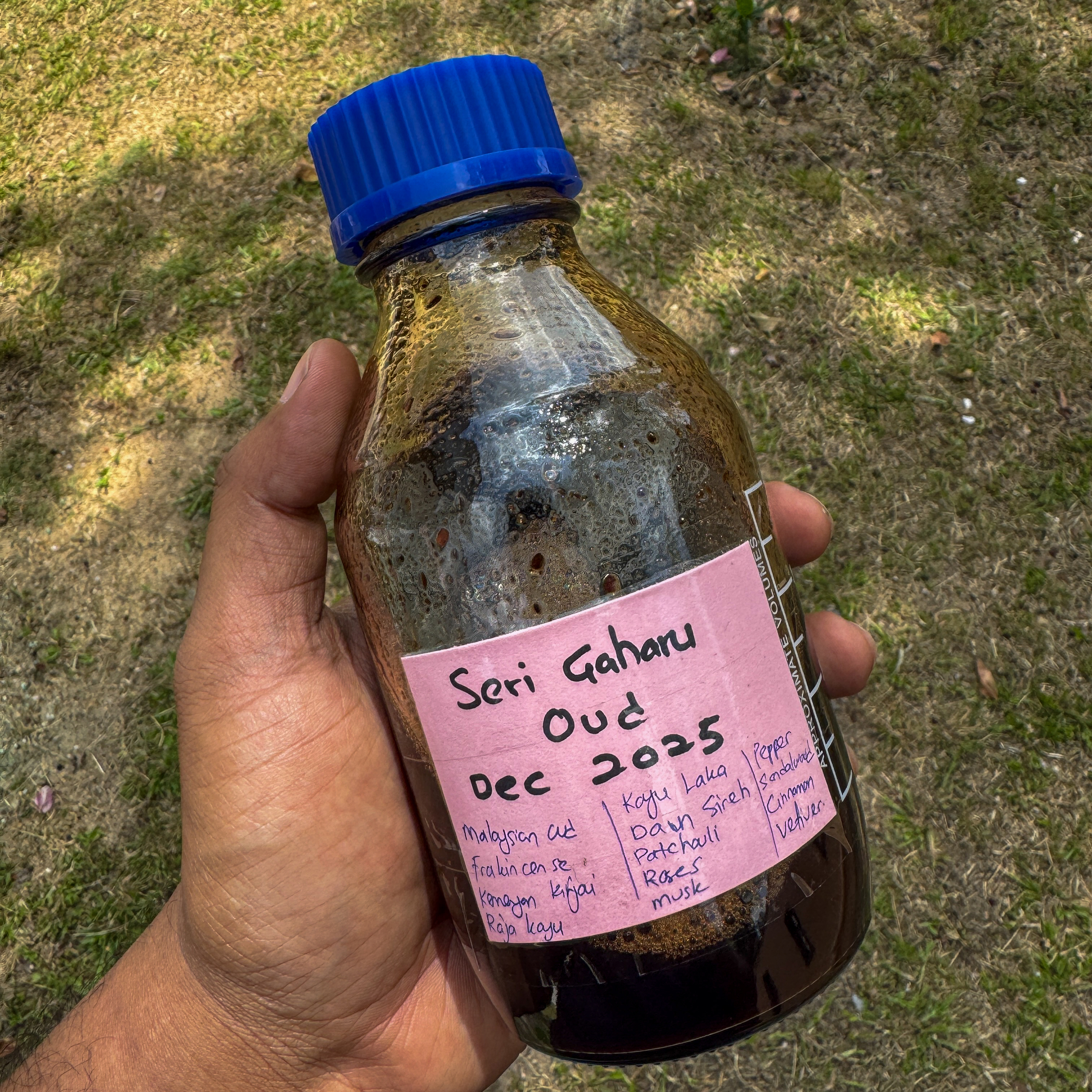 image_262CC477-D636-4E5D-800A-69C5C00BC047_1773149914