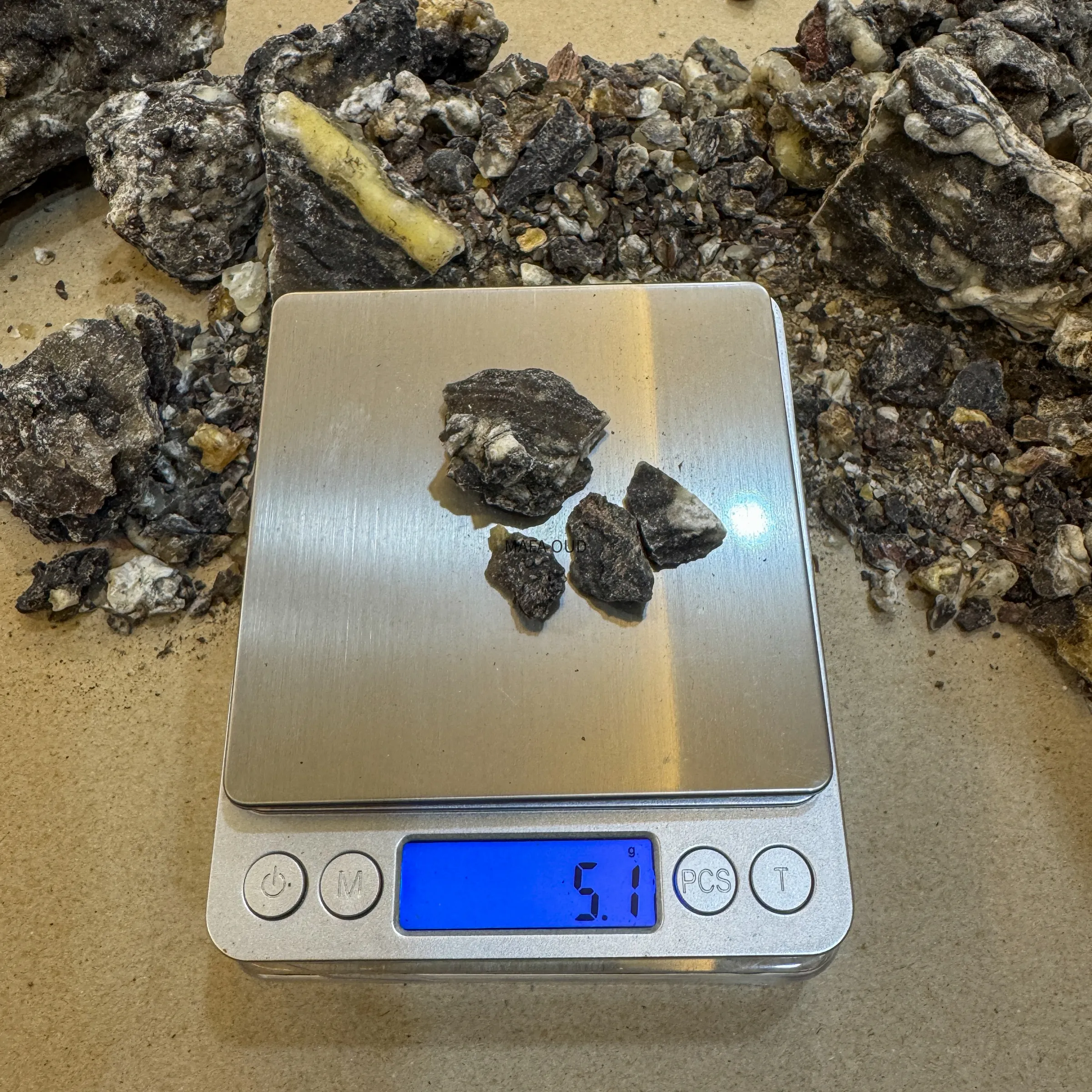 image_E97E27AE-579F-440E-A2F8-B6CECB859927_1773150511