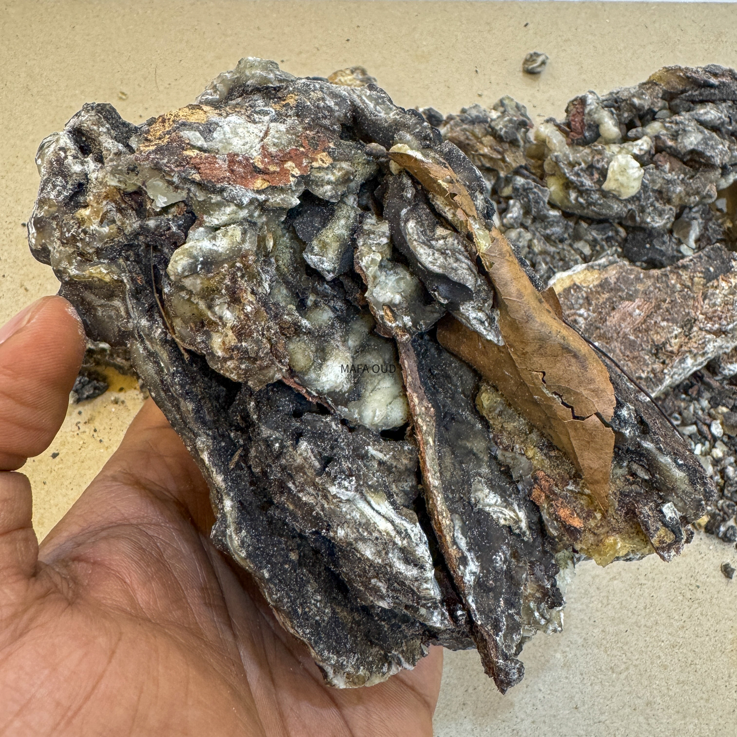 image_4664B34F-3B52-4DE6-8B5D-3165366A30B4_1773151505