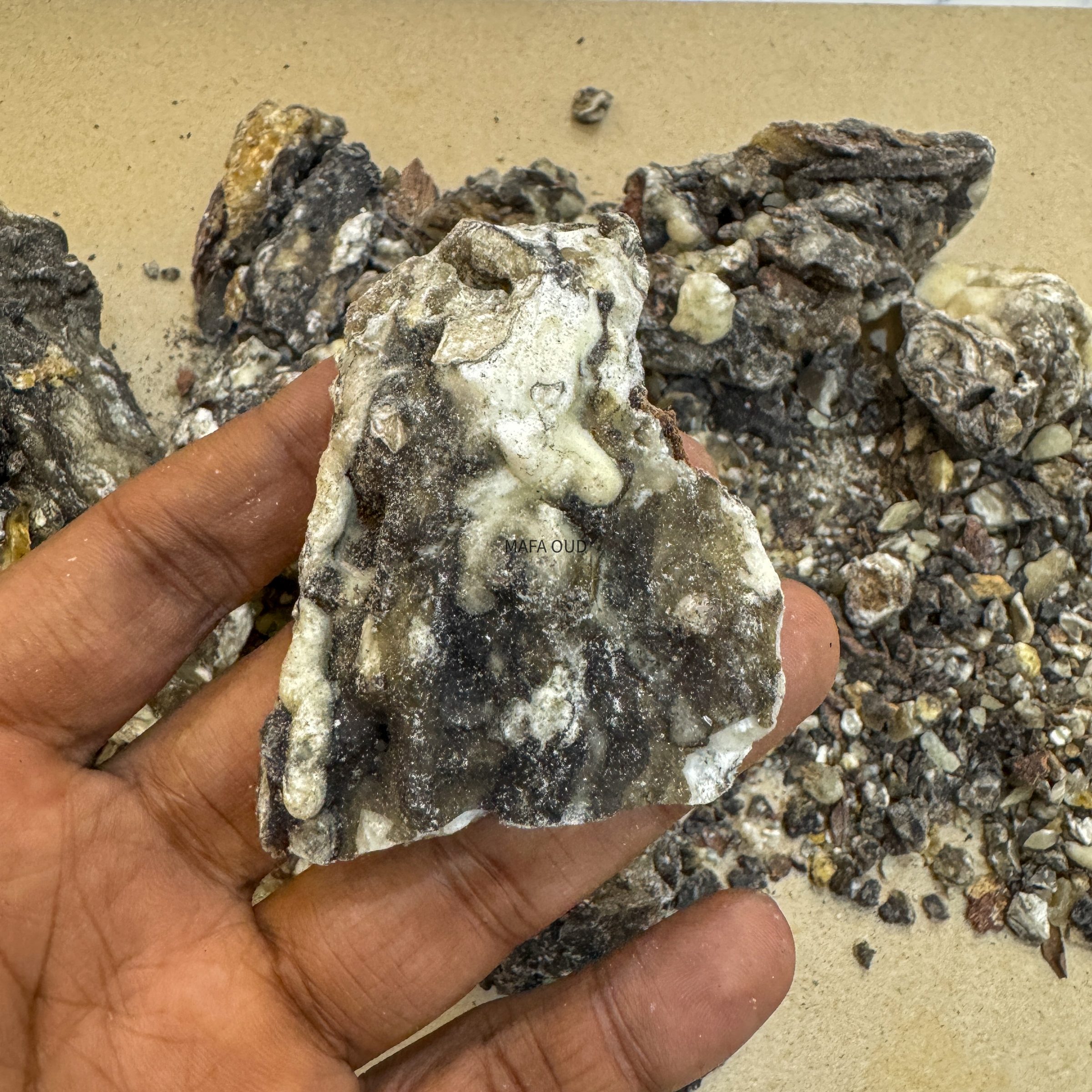 image_E865883A-AF21-4AE2-838D-C9C2AE068EB7_1773151505