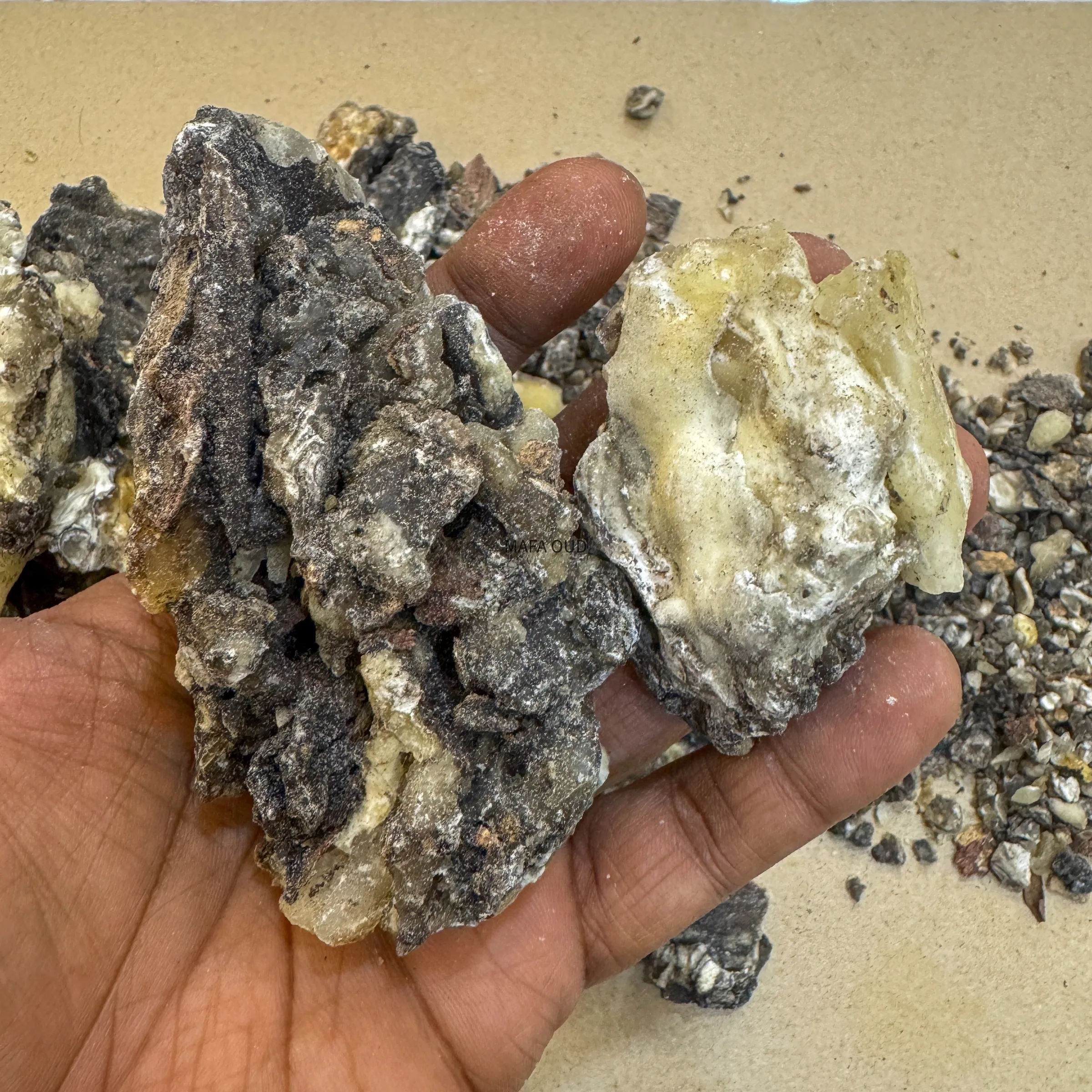 image_E6EC7C23-A7A7-449A-A458-D98B83300595_1773151505