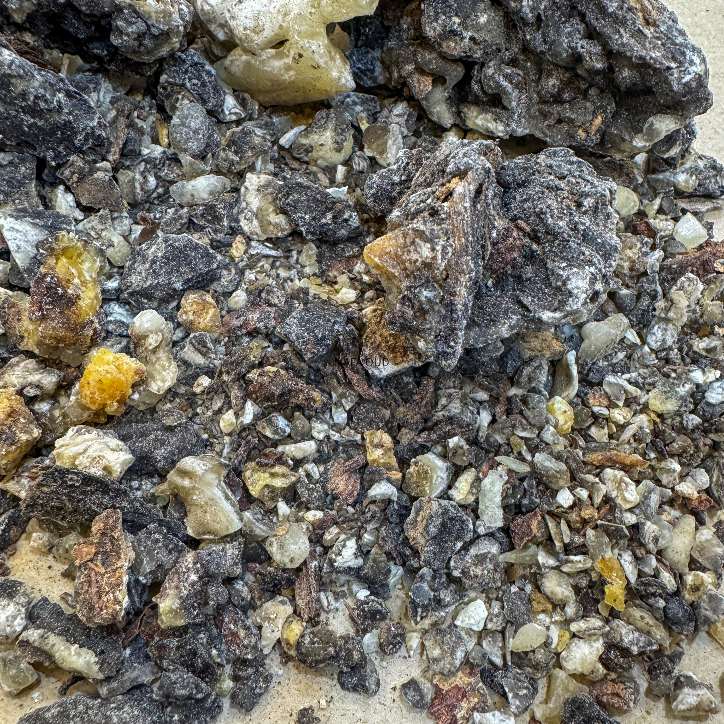 image_BEA040FE-5201-4511-A2F1-419AE056AA13_1773151505