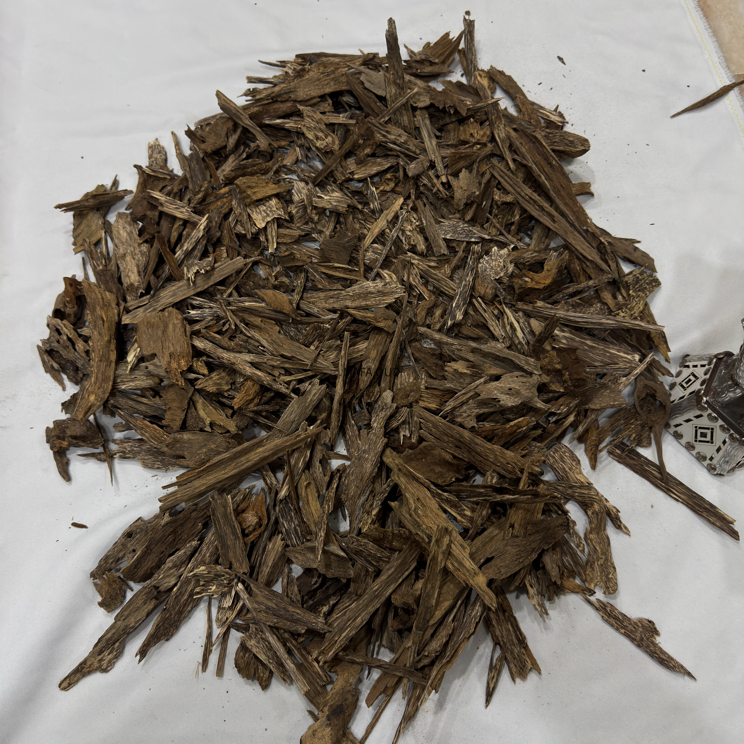 image_00D80AE6-D498-44FD-9142-F5CCB92838B4_1773153101