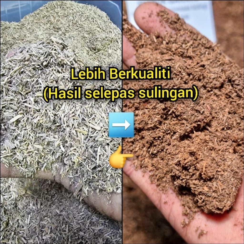 my-11134207-7r98w-lutesh2ad61932