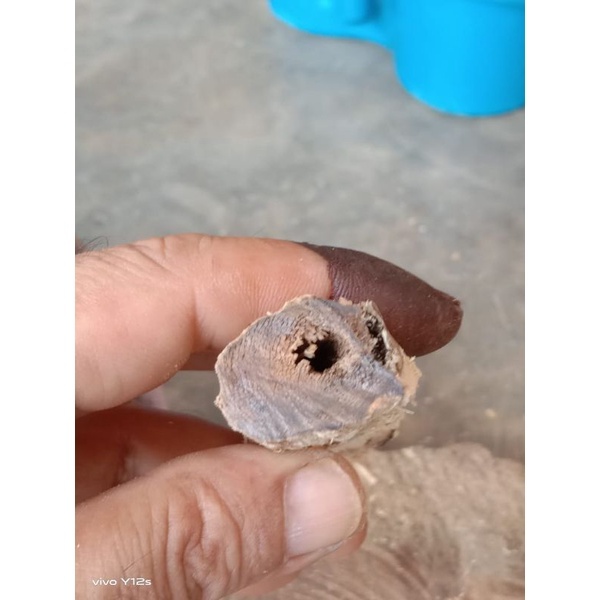 1de5a642b305d596fc030d000f8cf78e