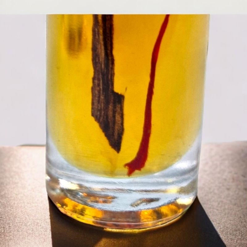 my-11134207-7r98v-ltledc6plopa6c