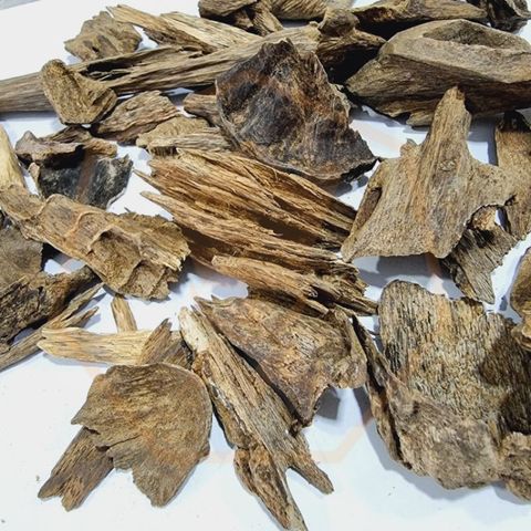 8bce27eb66509c1a08ebe6e251d90326