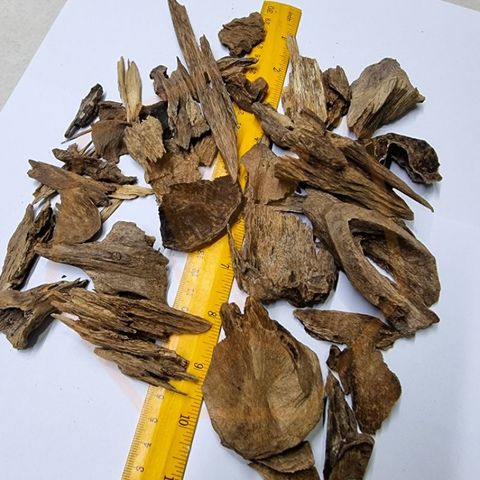 29c8119a8e130e5c2cdbc0273b71cad8