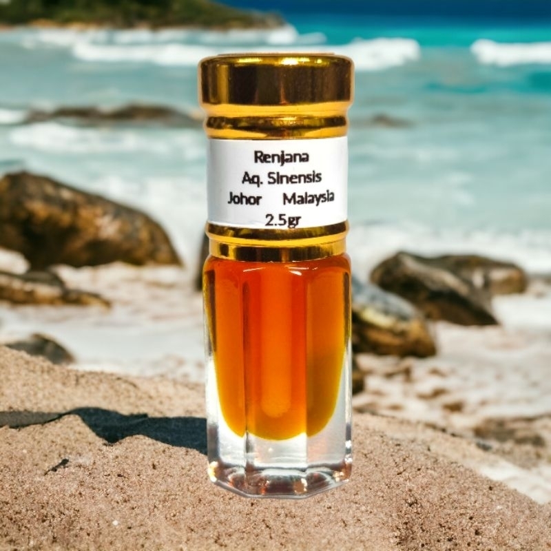 my-11134207-7r98q-lukeom4shi7nb9